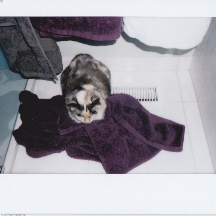 Bath Towel